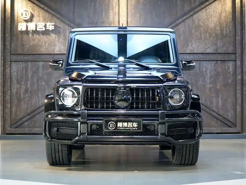 Mercedes-Benz G-Class 2015 — фото 2