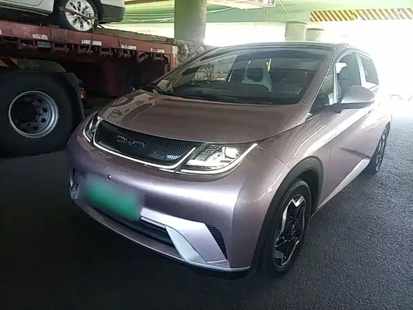 BYD Dolphin 2022