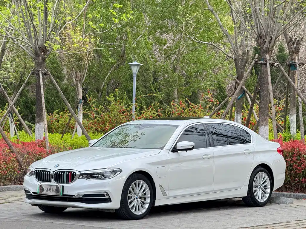 BMW 5 Series New Energy 2020 — фото 1
