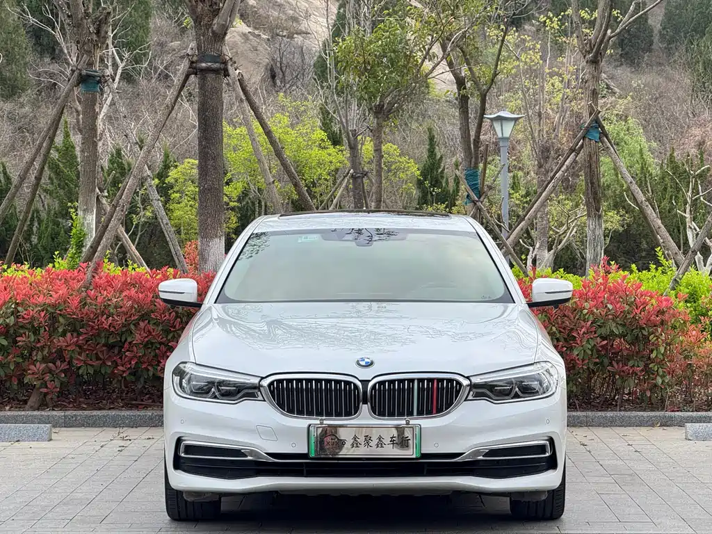 BMW 5 Series New Energy 2020 — фото 2