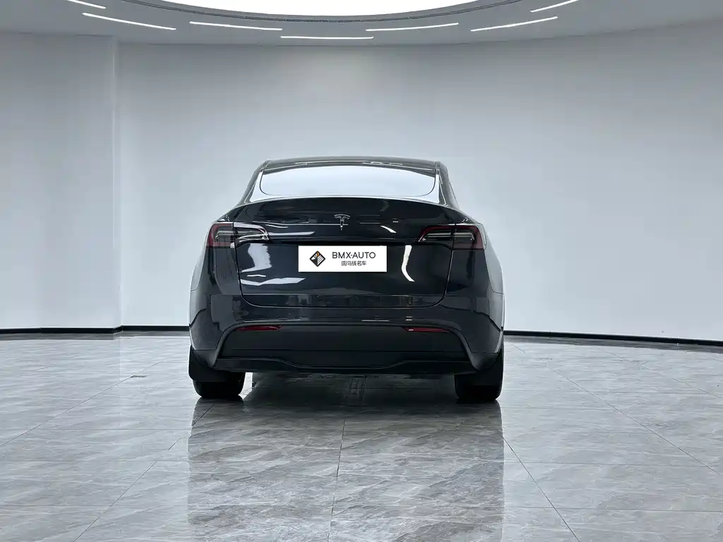 Tesla Model Y 2024 — фото 6