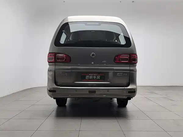 Dongfeng Lingzhi 2019