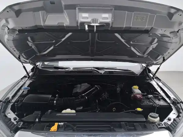 Dongfeng Ruiqi 6 2020