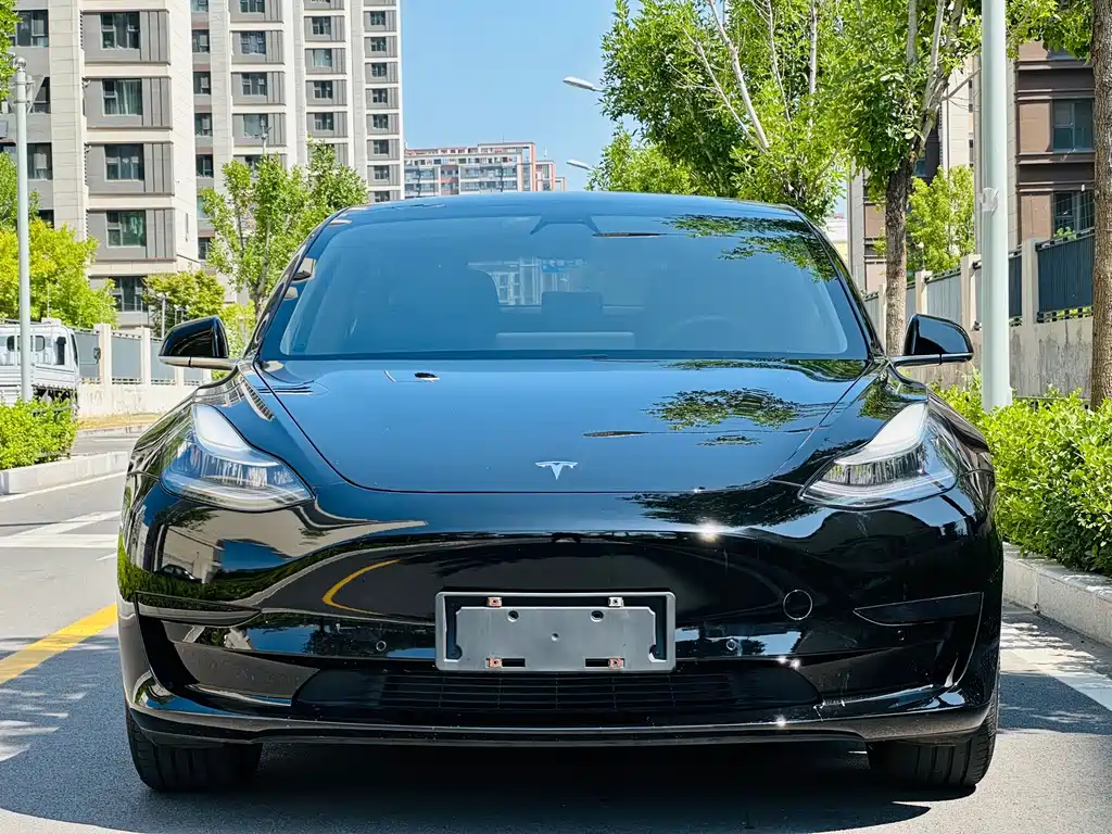 Tesla Model 3 2020 — фото 2