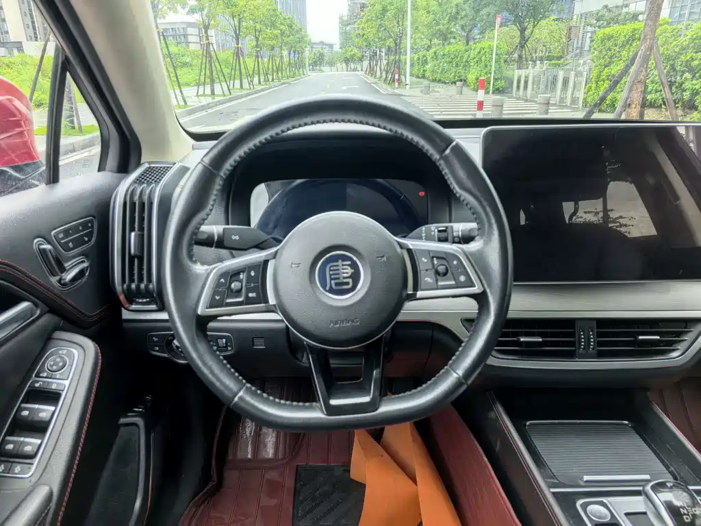 BYD Tang New Energy 2020 — фото 14