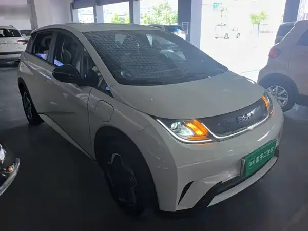 BYD Dolphin 2024