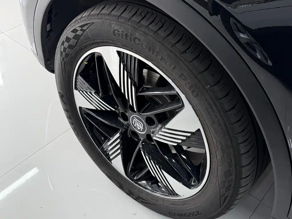 BYD Tang New Energy 2023 — фото 14