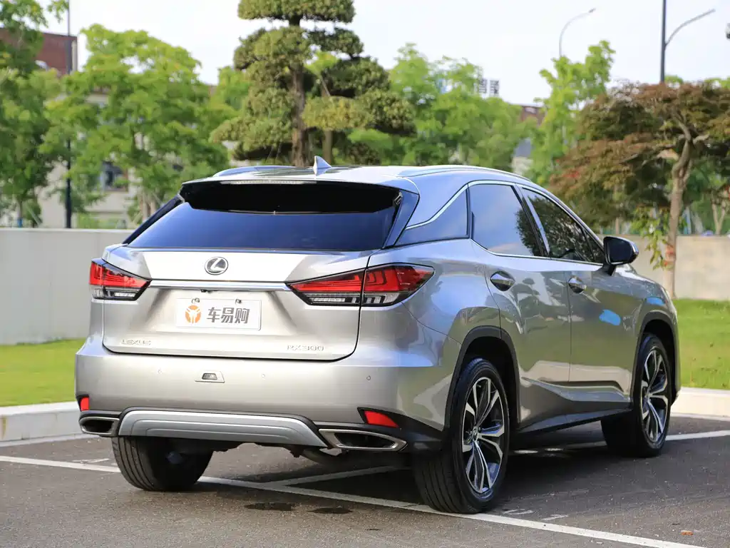 Lexus RX 2019 — фото 21