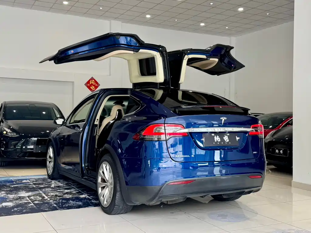 Tesla Model X 2017 — фото 13