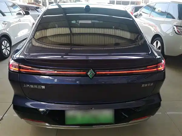 Baojun Enjoys The Environment 2025