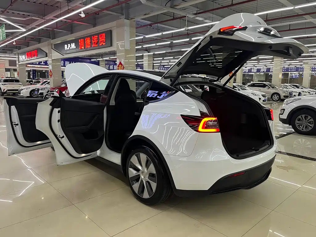 Tesla Model Y 2023 — фото 14