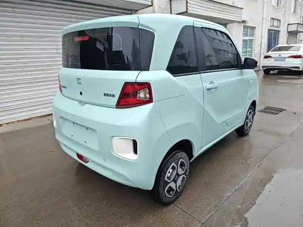 Dongfeng Scenery MINIEV 2024