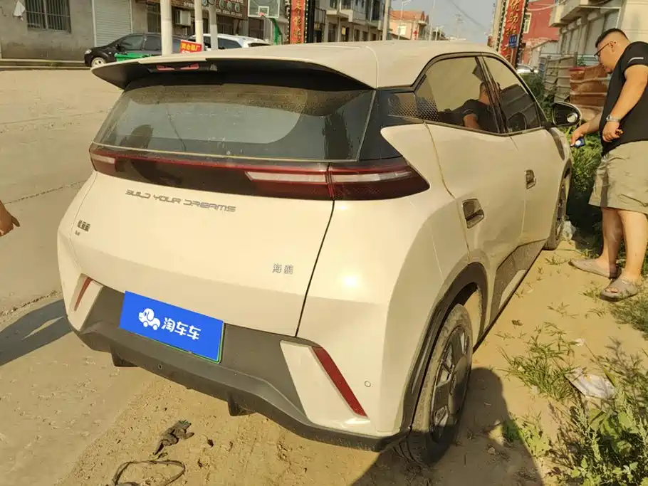 BYD Seagull 2024