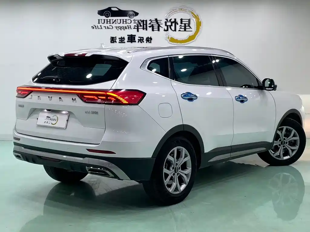 Haval H6 2021 — фото 9