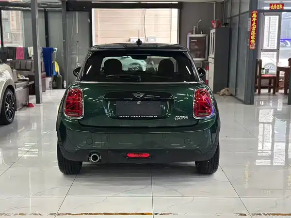 MINI 2019