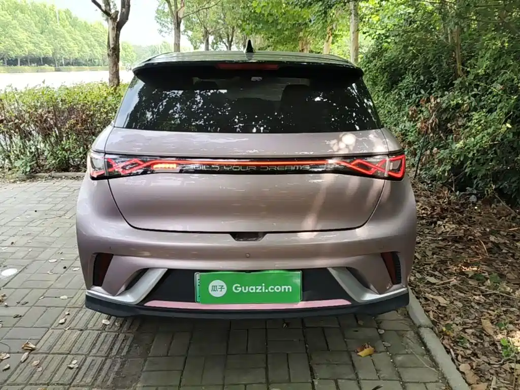 BYD Dolphin 2022
