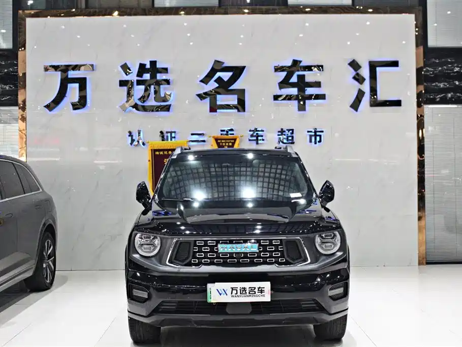 Haval Dargo PLUS EV 2024 — фото 2