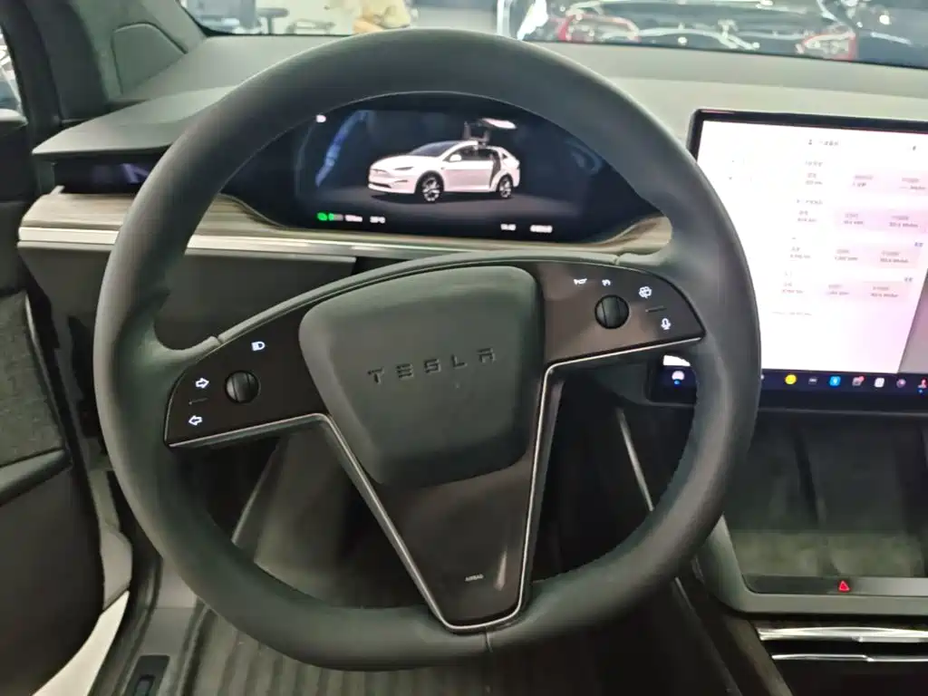 Tesla Model X 2023 — фото 11