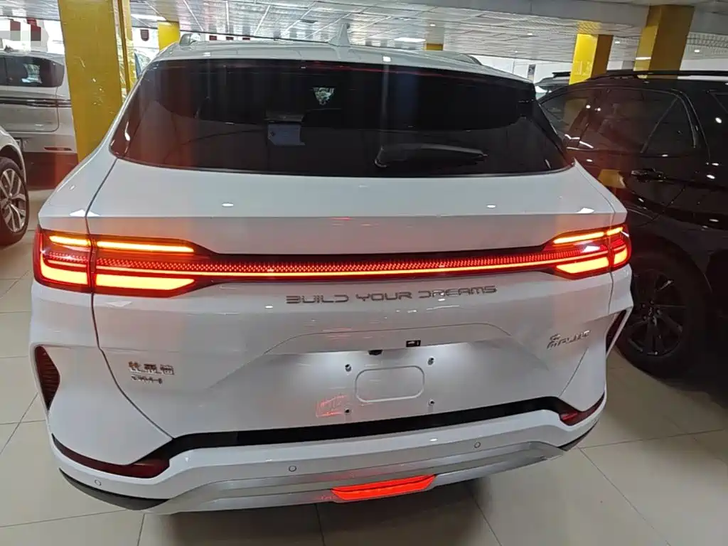 BYD PLUS New Energy 2024 — фото 6