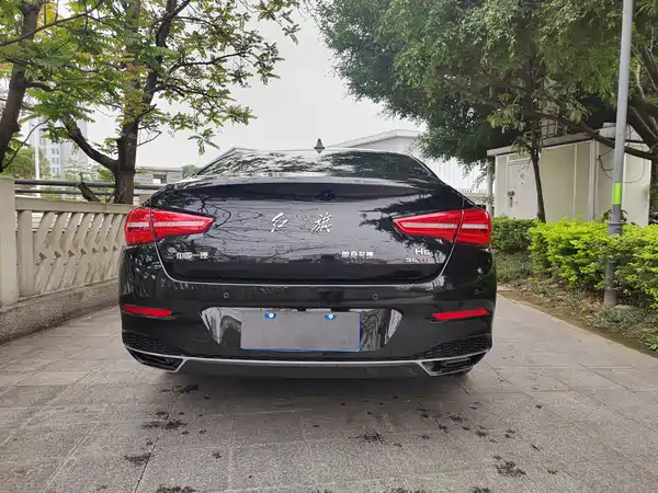 Hongqi H5 2020