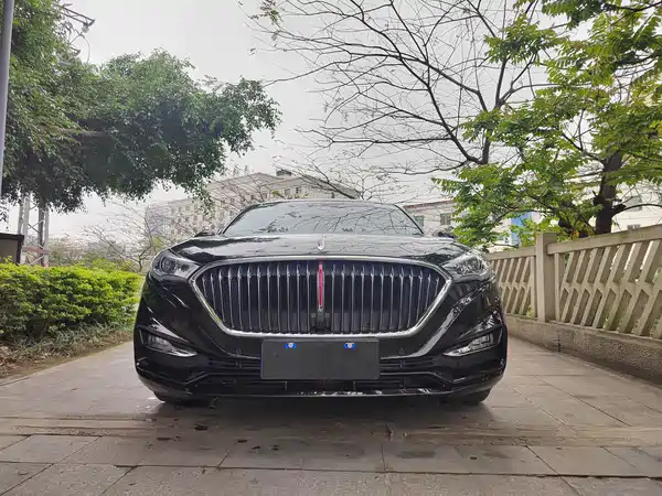 Hongqi H5 2020