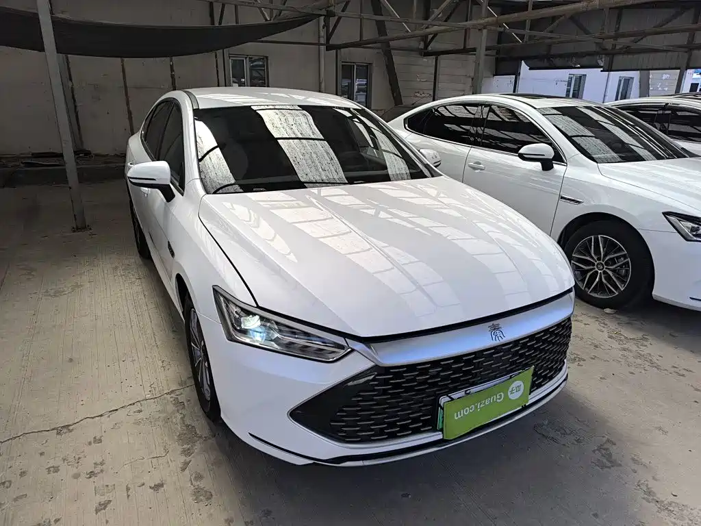 BYD Qin PLUS 2024 — фото 22