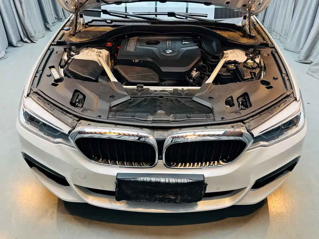 BMW 5 Series 2018 — фото 17