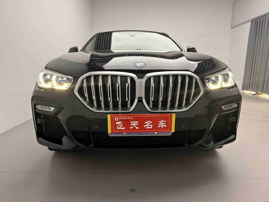 BMW X6 2021 — фото 1