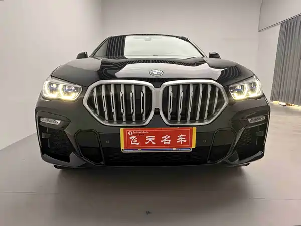 BMW X6 2021