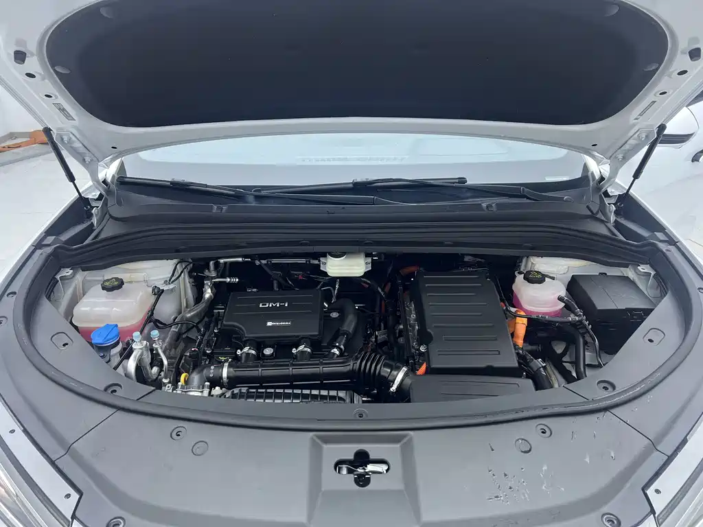 BYD L DM-i 2025 — фото 22