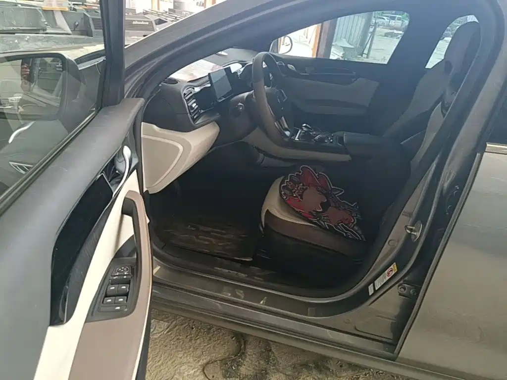 BYD Qin PLUS 2024 — фото 16