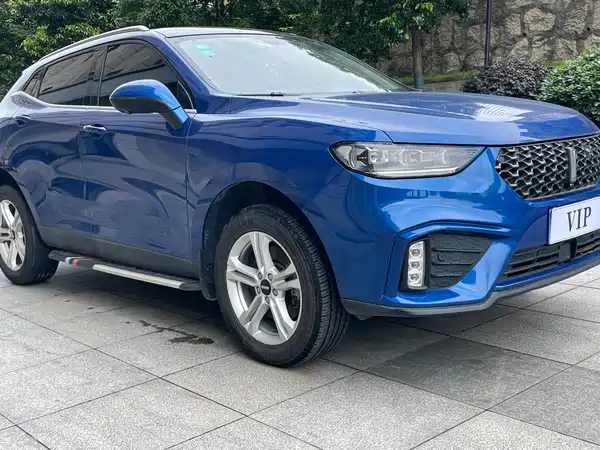 Wey VV5 2020