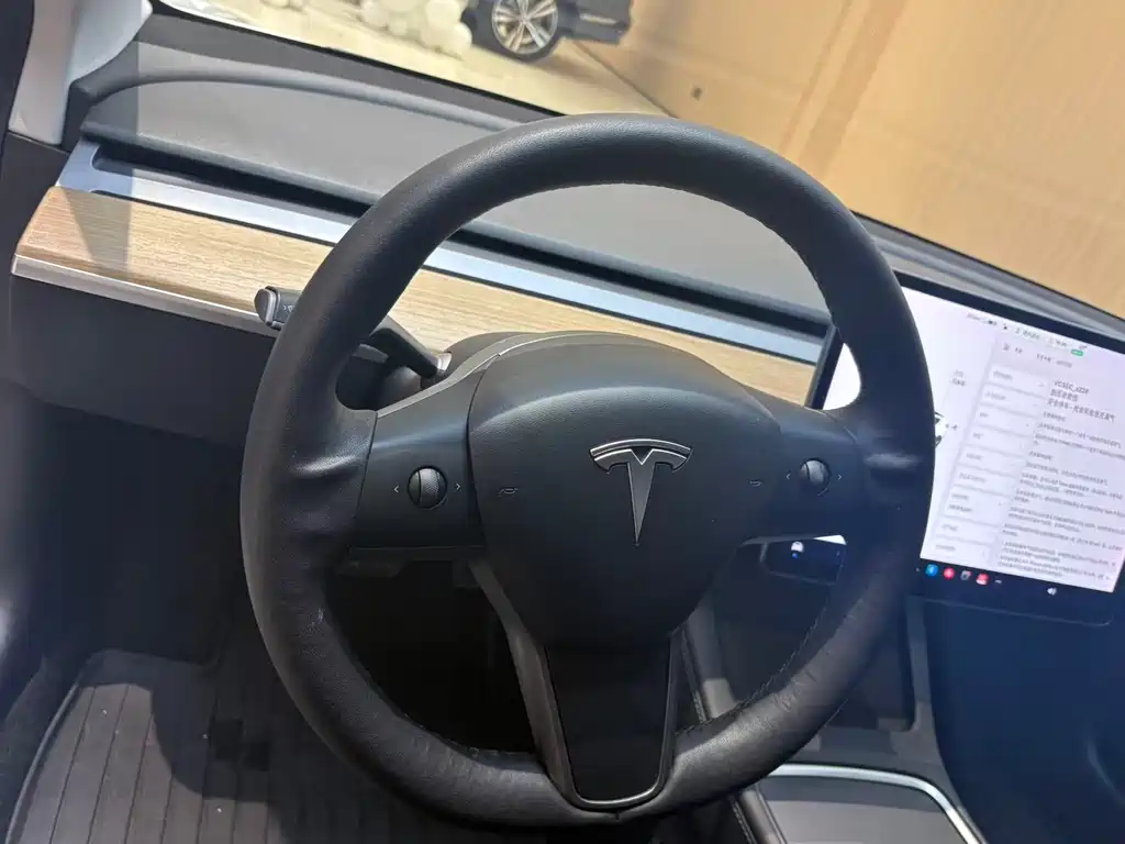 Tesla Model 3 2021 — фото 13