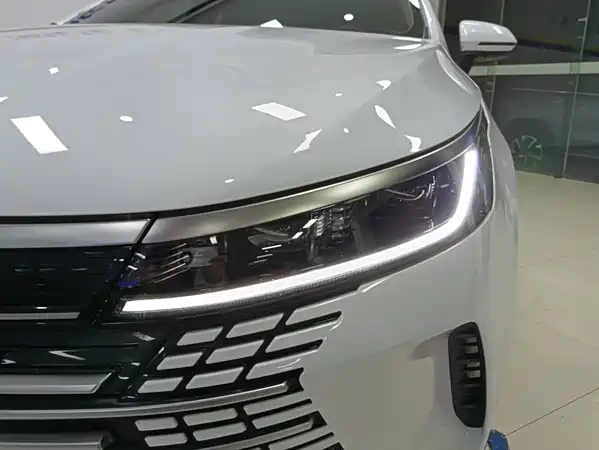 BYD Destroyer 05 2024