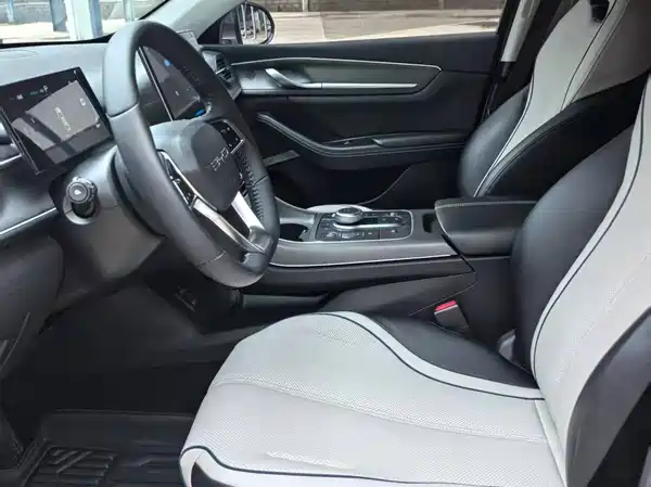 BYD Destroyer 05 2024