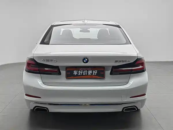 BMW 5 Series New Energy 2019