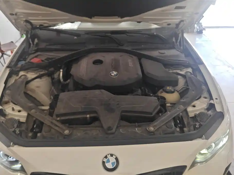 BMW 2 Series 2018 — фото 10