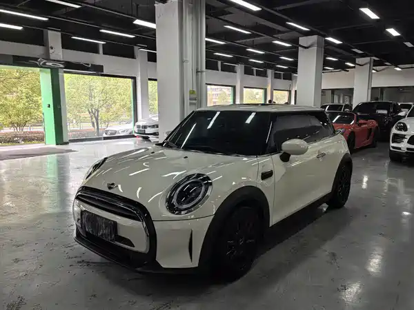 MINI MINI 2022