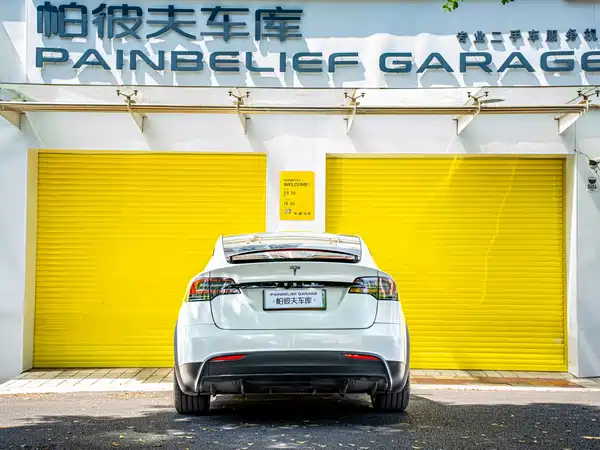 Tesla Model X 2019