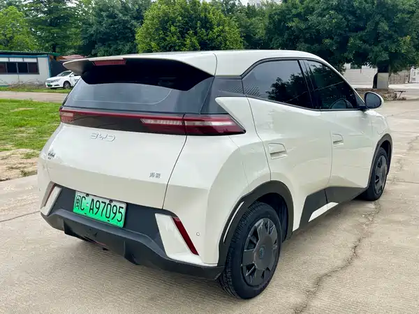 BYD Seagull 2024