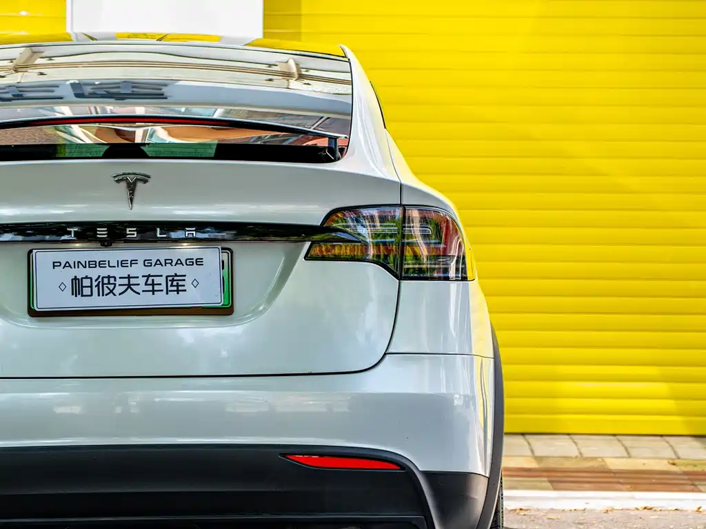 Tesla Model X 2019 — фото 8
