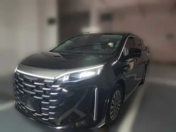 BYD Summer 2025