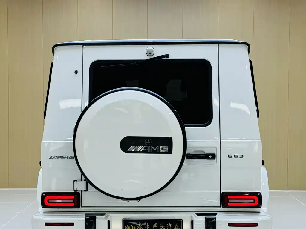 Mercedes-Benz G-Class 2017 — фото 11