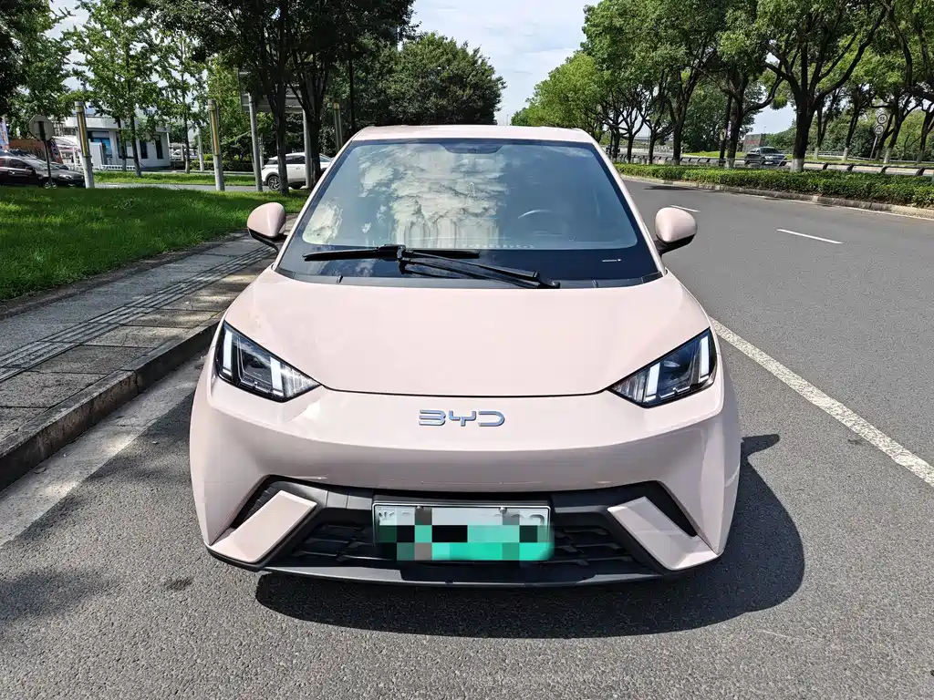 BYD Seagull 2024