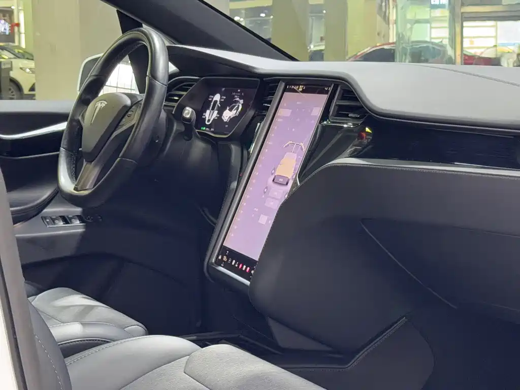 Tesla Model X 2019 — фото 10