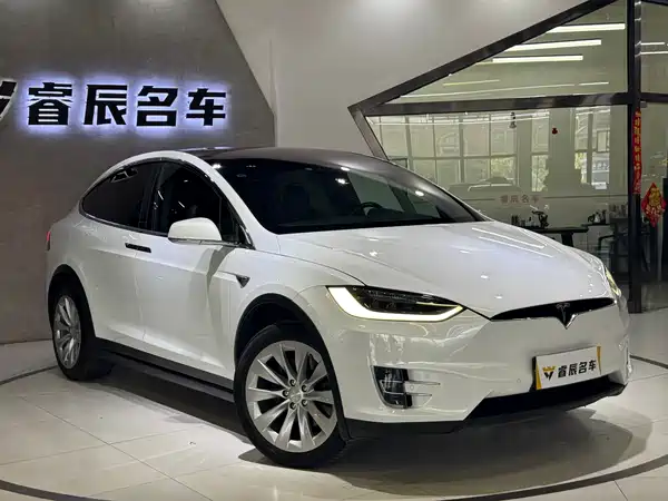 Tesla Model X 2019