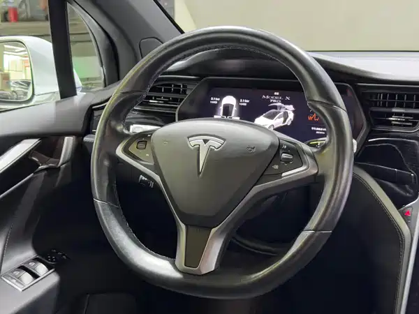 Tesla Model X 2019