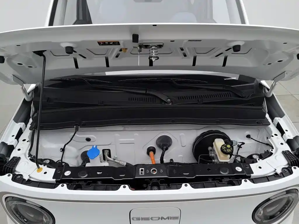 Geely Galaxy Panda 2023