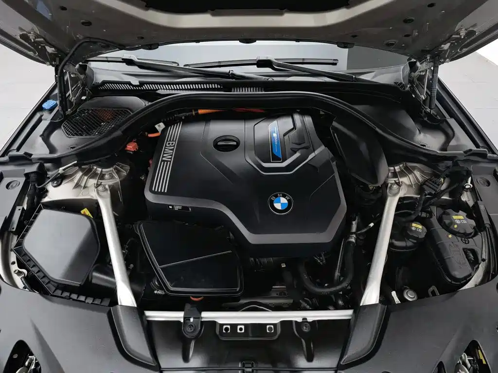 BMW 5 Series New Energy 2021