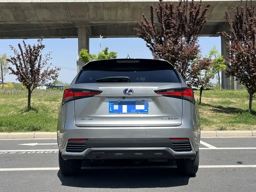 Lexus NX 2020 — фото 4